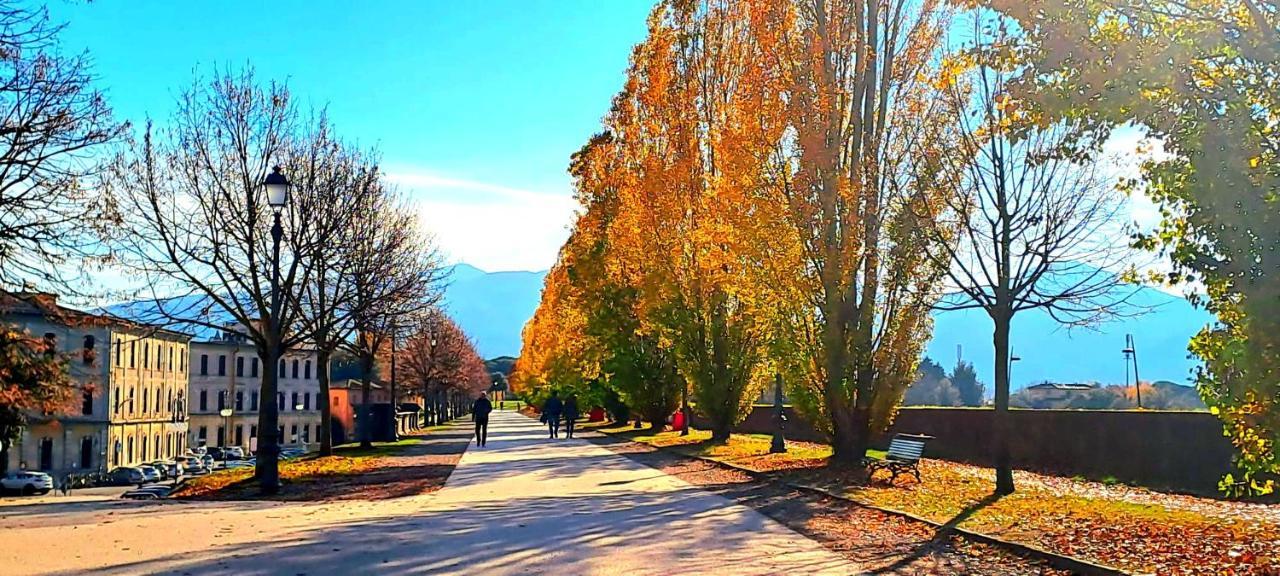 Finca Del Sol Лукка Экстерьер фото